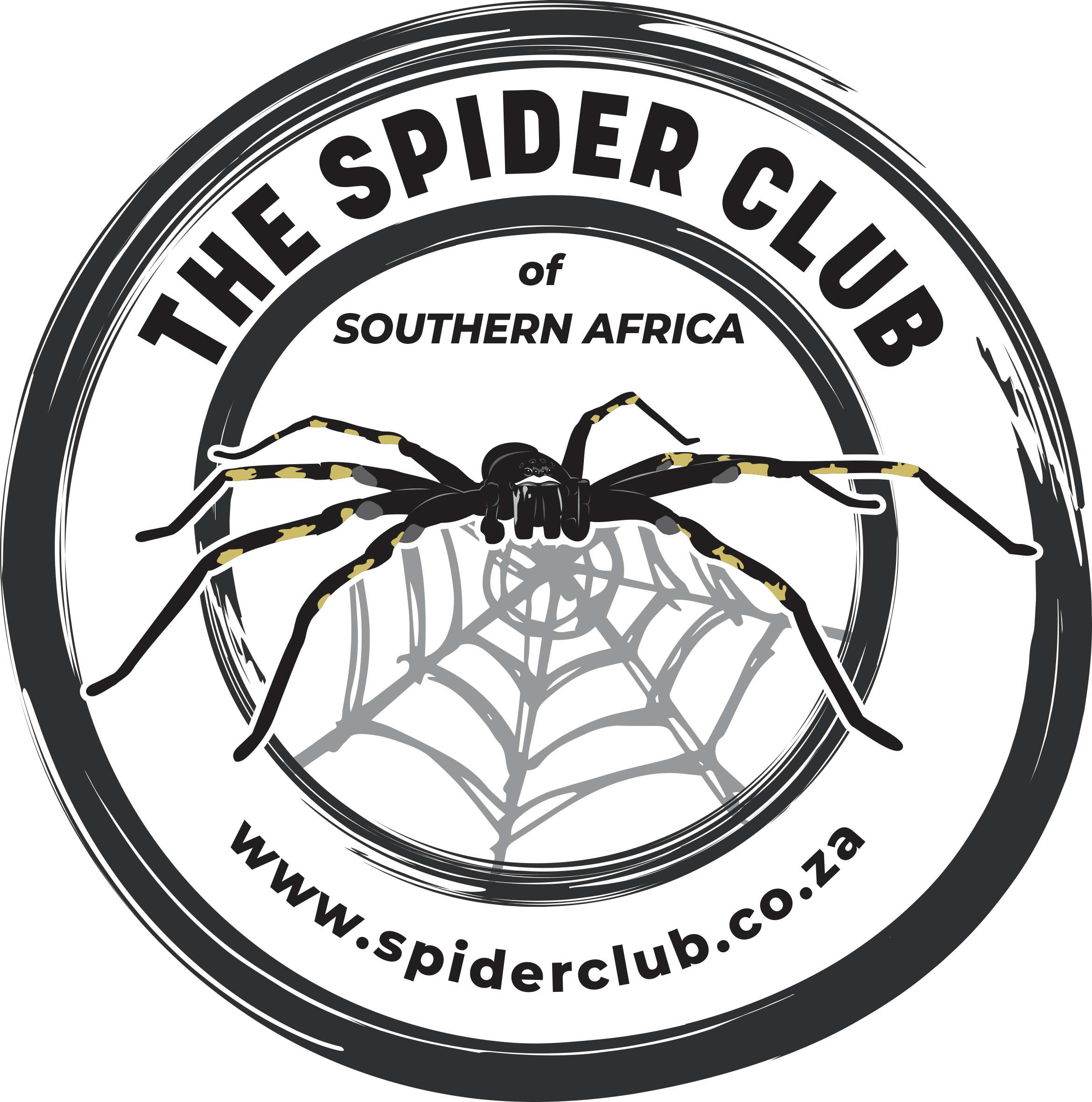 The Spider Club of Southern Africa