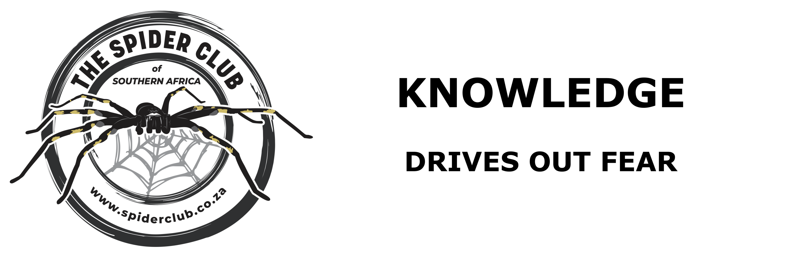 The Spider Club of Southern Africa